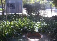 天下茶屋公園の写真・動画_image_29288