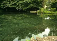 富士山本宮浅間大社の写真・動画_image_43279
