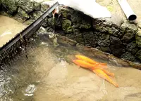 ゲストハウスioriの写真・動画_image_55959