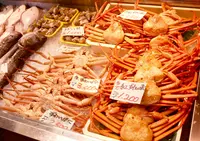 道の駅 氷見漁港場外市場 ひみ番屋街の写真・動画_image_55984