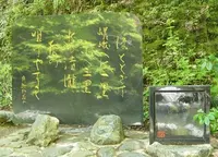 清滝の写真・動画_image_66520