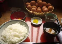 但熊の写真・動画_image_71280