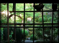 宝泉院の写真・動画_image_85918