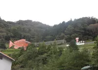ヤマサ蒲鉾（株）の写真・動画_image_96831