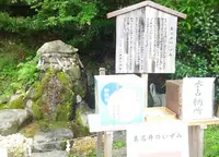 出雲大神宮の写真・動画_image_99329