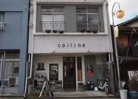 colline (コリン)の写真・動画_image_124399