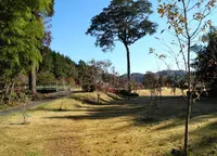 いきなり芝生公園に出たの写真・動画_image_127978
