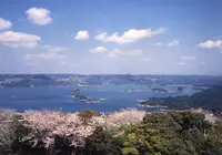大山展望台の写真・動画_image_130799