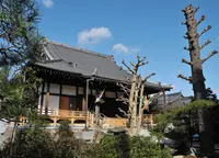 専応寺の写真・動画_image_132394