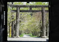 茅部神社の大鳥居の写真・動画_image_132468