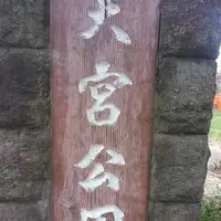 大宮公園の写真・動画_image_132595