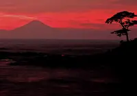 城ヶ島灯台公園の写真・動画_image_133824