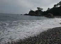 桂浜の写真・動画_image_156577