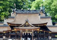 多賀大社の写真・動画_image_242727