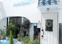 Cafe Cocoの写真・動画_image_264682