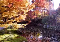 即宗院の写真・動画_image_282155