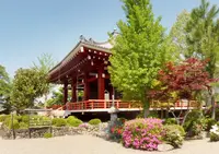 櫟野寺（いちいの観音様）の写真・動画_image_315471