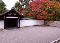 龍吟庵の写真・動画_image_460909