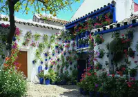 Cordoba（コルドバ）の写真・動画_image_572016