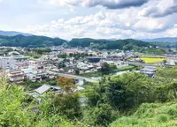 下町公園の写真・動画_image_802064