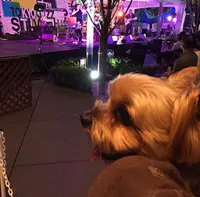 東京国際フォーラムの写真・動画_image_68079