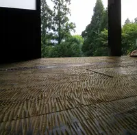 脱皮する家の写真・動画_image_137293