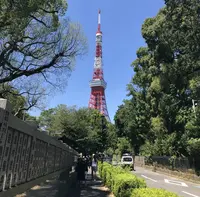 東京タワーの写真・動画_image_694855