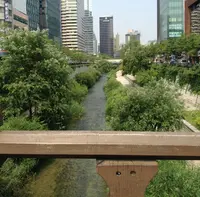 清渓川/チョンゲチョン/청계천の写真・動画_image_232096