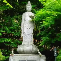直指庵の写真・動画_image_77364
