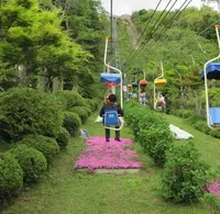 傘松公園の写真・動画_image_97124