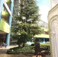 LaQua (ラクーア)の写真・動画_image_206193