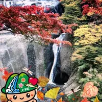 袋田の滝の写真・動画_image_238589