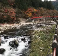 香嵐溪の写真・動画_image_206087