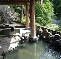 秋の宮温泉郷の写真・動画_image_125703