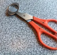 松月庵の写真・動画_image_241482