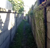 和田塚の写真・動画_image_37218