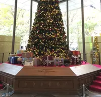 丸ビル（丸の内ビルディング）の写真・動画_image_205814