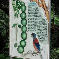 モダマの郷の写真・動画_image_61411