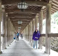 長谷寺の写真・動画_image_76083