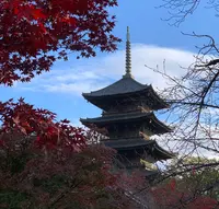 東寺（教王護国寺）の写真・動画_image_901607