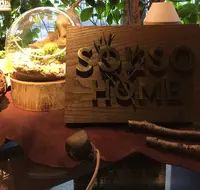 Solso Farmの写真・動画_image_32126