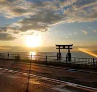 白鬚神社の写真・動画_image_1323392