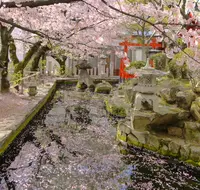 播磨国総社の写真・動画_image_172924