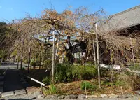 毘沙門堂の写真・動画_image_101027