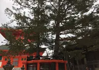 壇上伽藍の写真・動画_image_106751