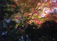 霊山歴史館の写真・動画_image_16932