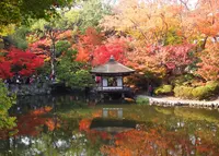紅葉渓庭園の写真・動画_image_16950