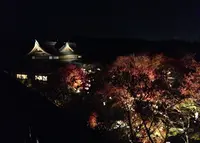 将軍塚青龍殿の写真・動画_image_17049
