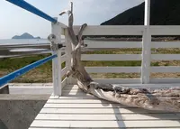 アラモアナサンセットカフェの写真・動画_image_17302