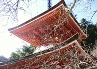 天野山金剛寺（女人高野）の写真・動画_image_17701